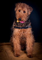 Dixie Lou-5634
