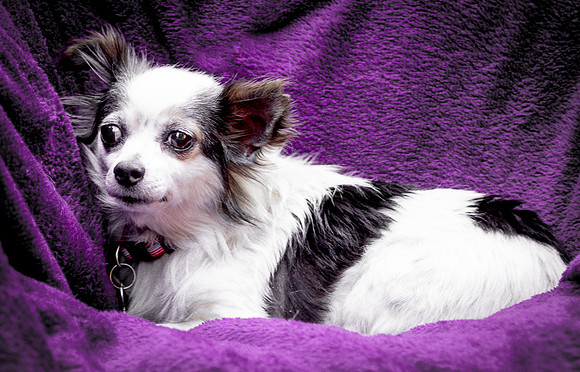 Foster Anouk-8792
