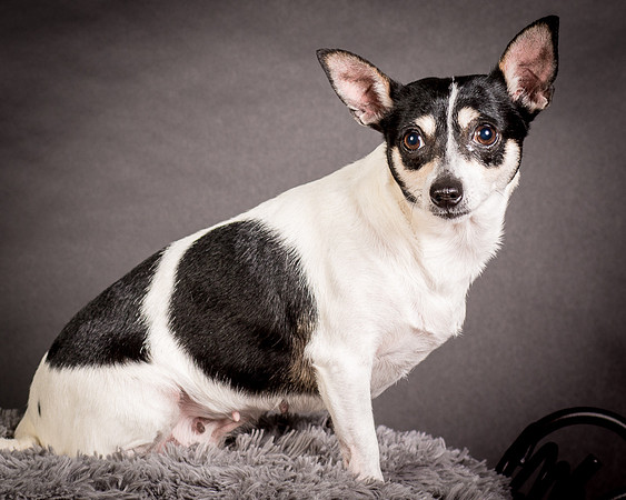 Foster Richa-0474