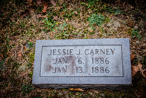Carney-3595