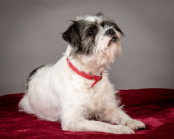 Foster Leeza-2724