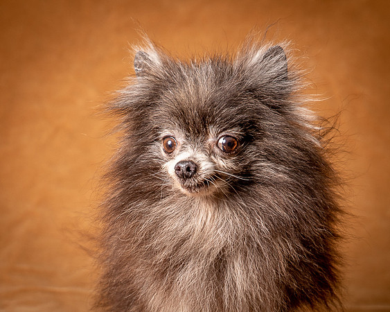 Foster Loretta-1282