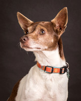 Foster Gus-0300