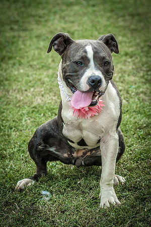 Foster Maya-0319