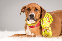 Foster Holley-4091