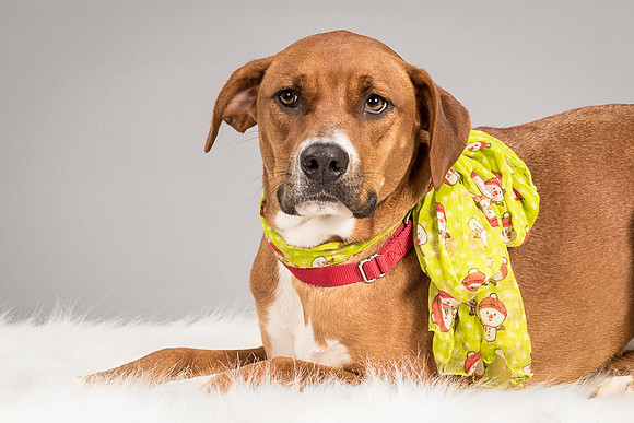 Foster Holley-4091