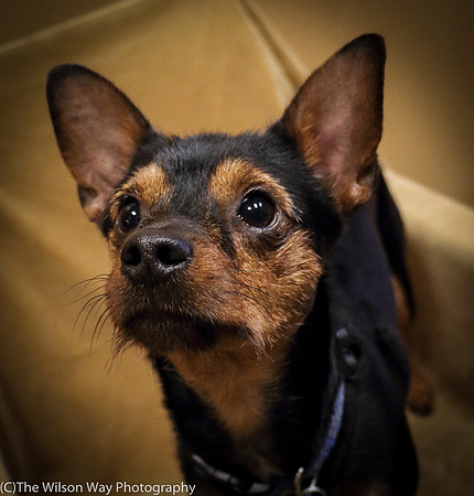Foster Wall-e-0763