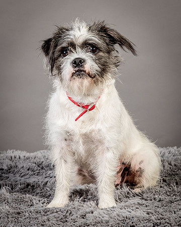 Foster Leeza-2672