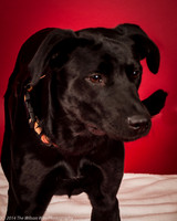 Caren-5864