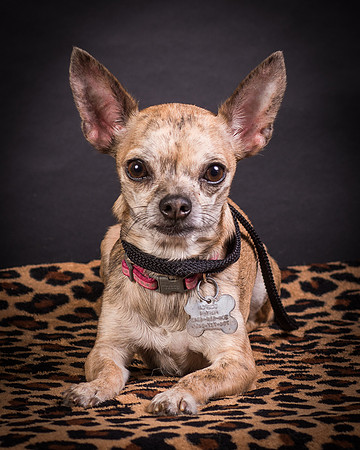 Foster Selina-1205