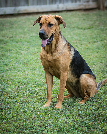 Foster Maya-0405