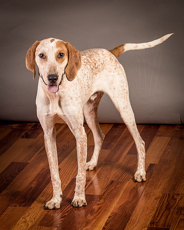 Foster Memphis-2999
