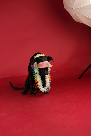 Calendar Bloopers-8737