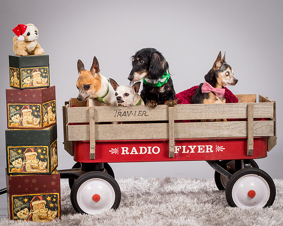 Foster Hospice Gang-3950