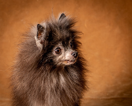 Foster Loretta-1306