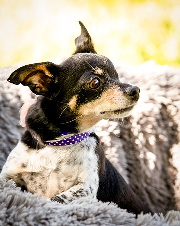 Foster Leela-7937