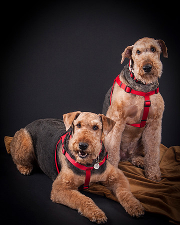 Martha May & Smitty-5191