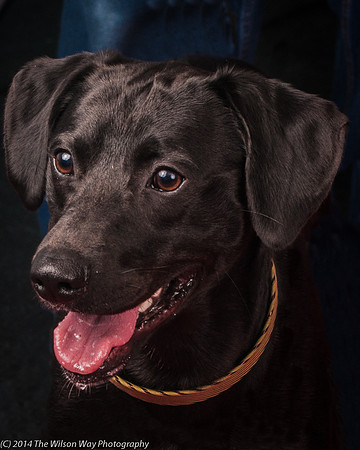 Charley-6191