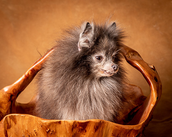 Foster Loretta-1322