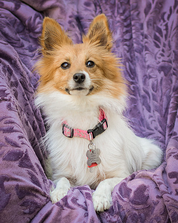 Foster Brandi-3179