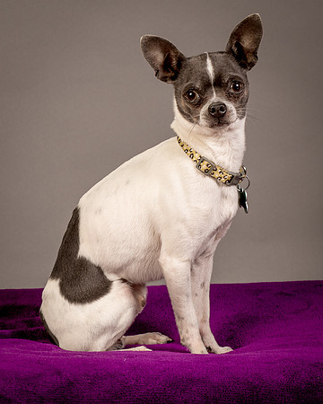 Foster Wesley-4936