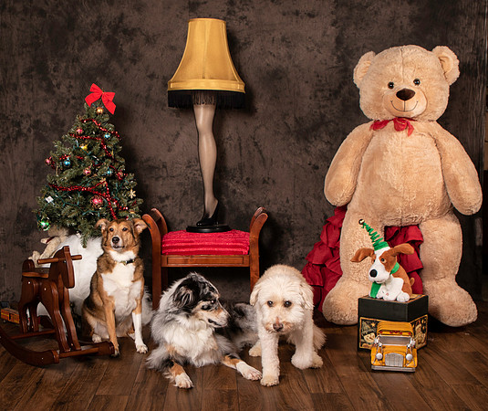 Gill-4130