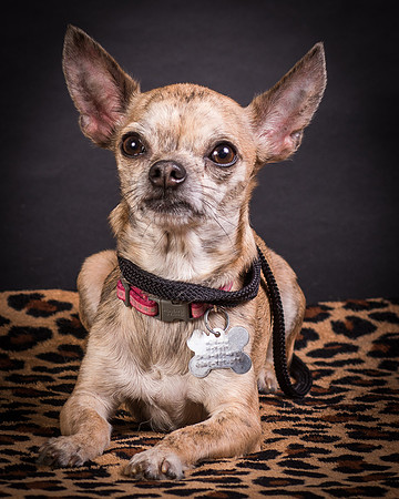 Foster Selina-1221
