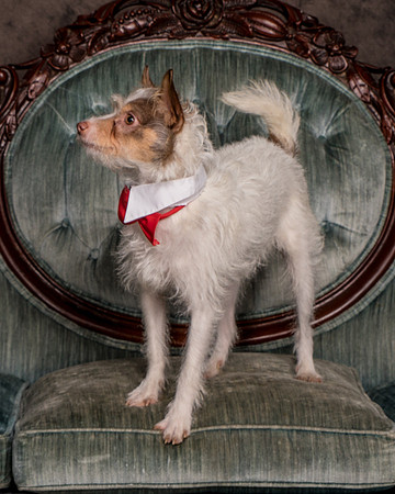 Foster Reagan-4872