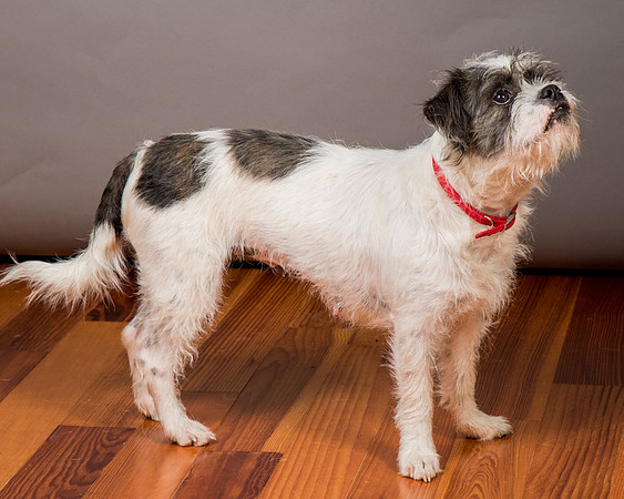 Foster Leeza-2867