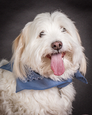 Foster Frosty-0538