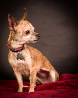 Foster Selina-1076