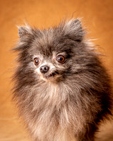 Foster Loretta-1250