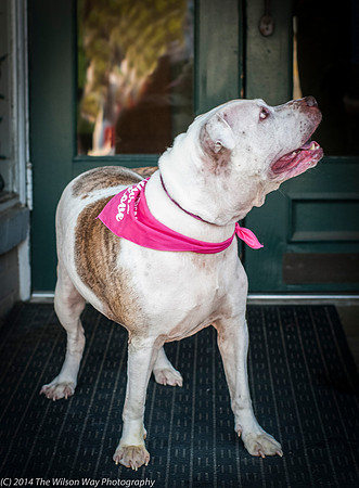Foster Snickers-9265