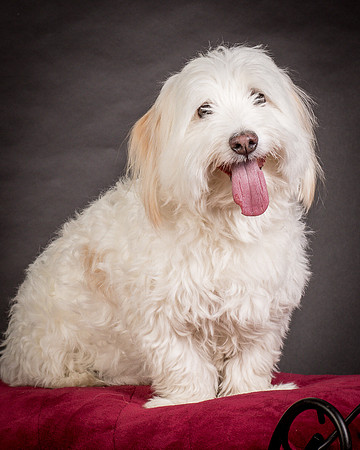 Foster Frosty-0581