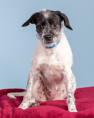 Foster Billie-8181