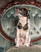 Foster Billie-8147