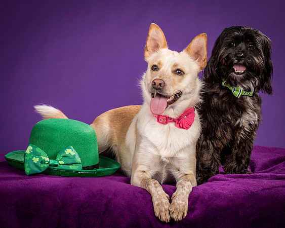 Henry and Maggie-1221