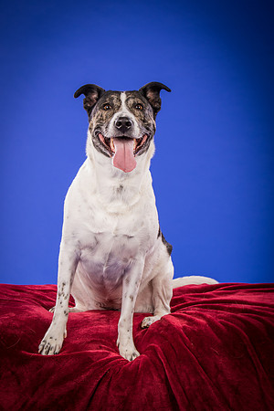 Bruns-Melo and Gracie-3038