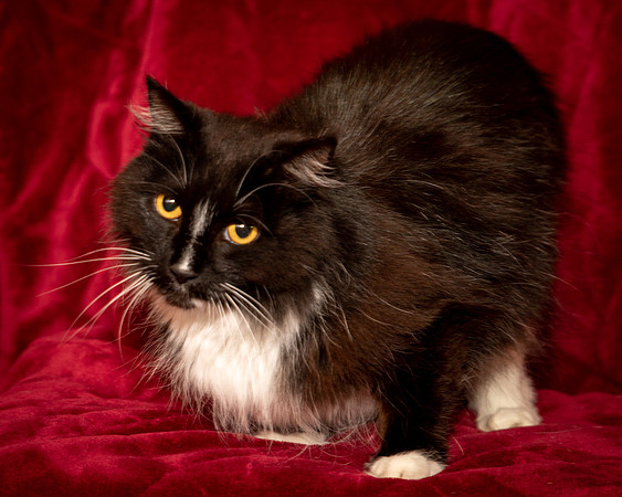 Foster Hershey-9487