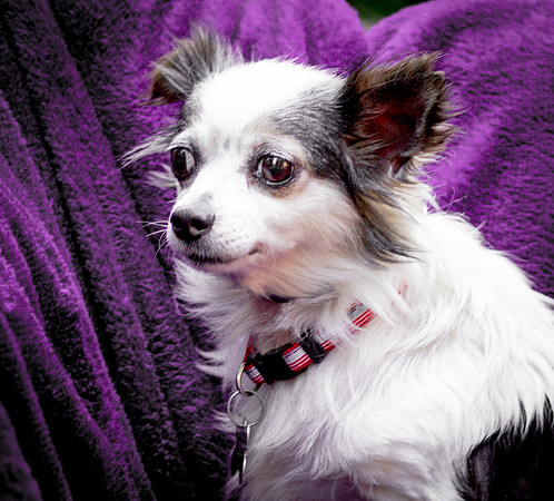Foster Anouk-8797