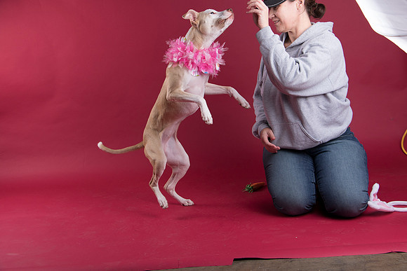Calendar Bloopers-9039