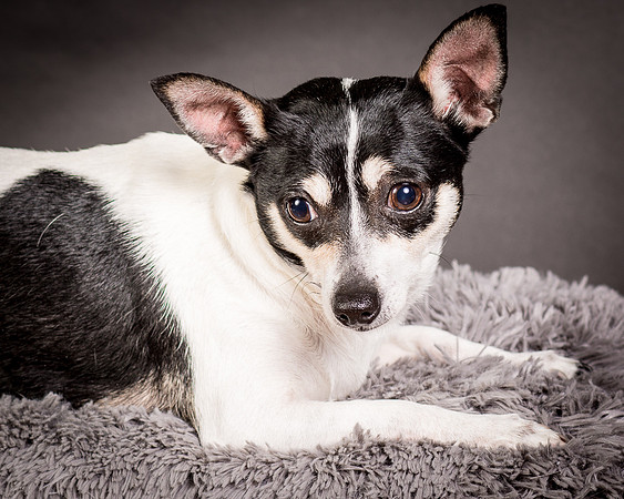 Foster Richa-0498