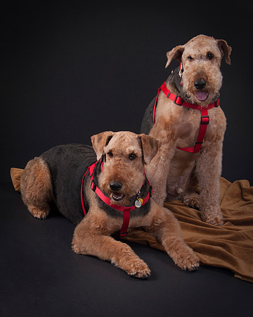 Martha May & Smitty-5201