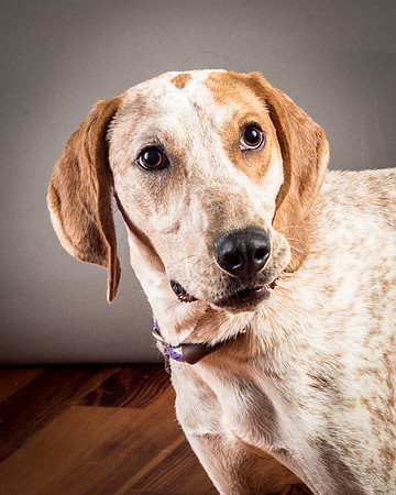 Foster Memphis-3084