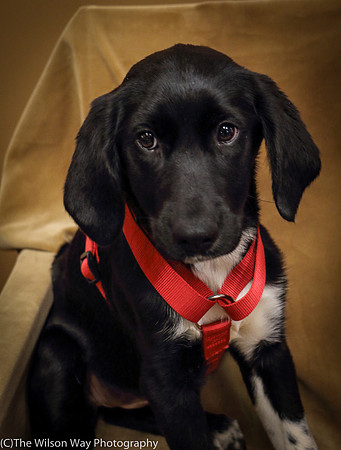 Foster Carolina-0791