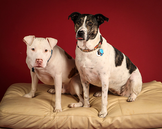 Grace and Mello-5369