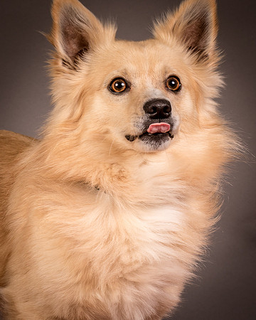 Foster Sergio-8091