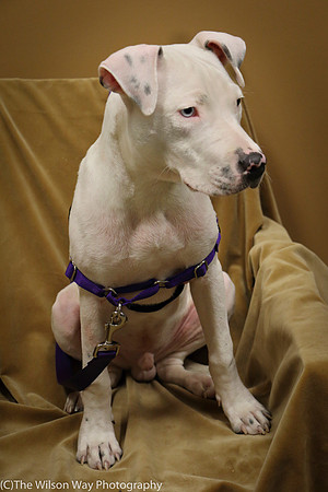 Foster Curt-0572