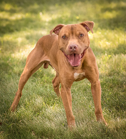 Foster Pablo-7993