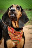 Jethro-0852